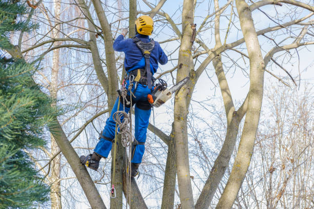 Soil Testing and Treatment in West Glens Falls, NY